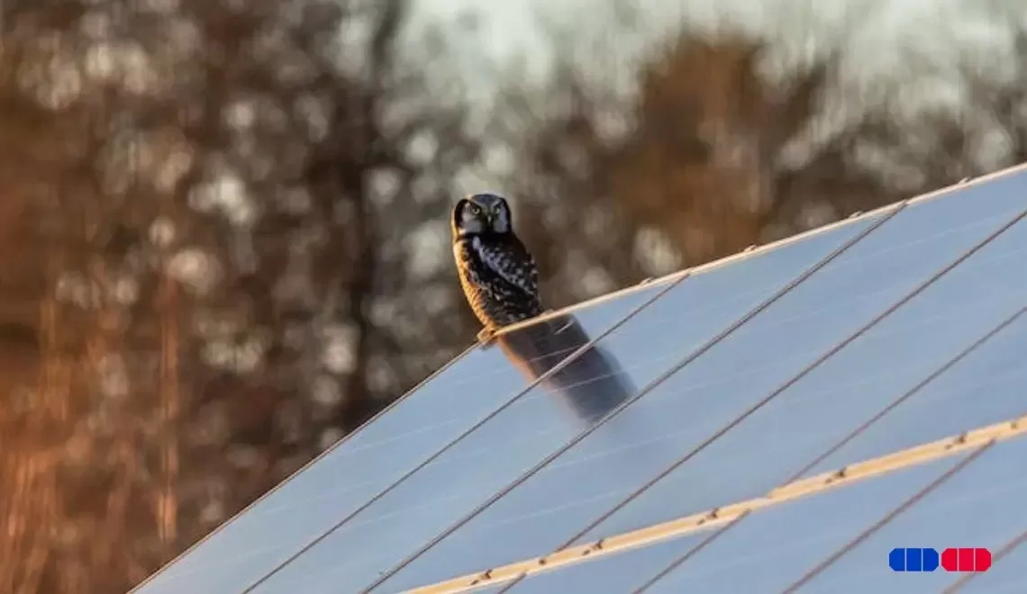 Différence entre un panneau solaire monocristallin et un polycristallin